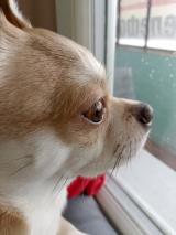 Маркелов Роман 